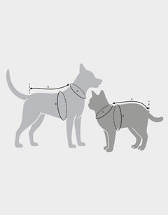 adidas Pet Cali T - Shirt