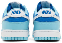 Nike Dunk Low Argon