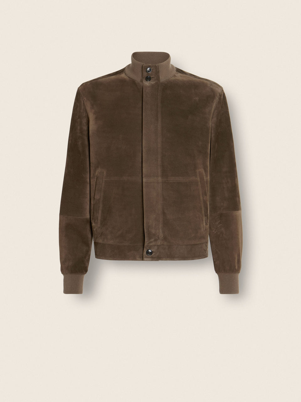 Zegna Leather Blouson