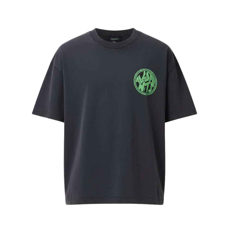 ALL SAINTS Distortion Brand Print Regular Fit Crew-Neck T-Shirt (washed-black)