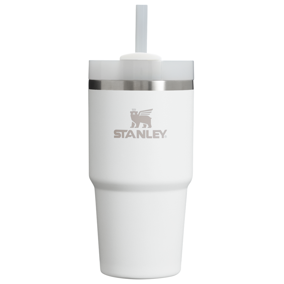 Stanley The Quencher H2.0 FlowState Tumbler 20 OZ Frost