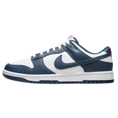 Dunk Low Valerian Blue