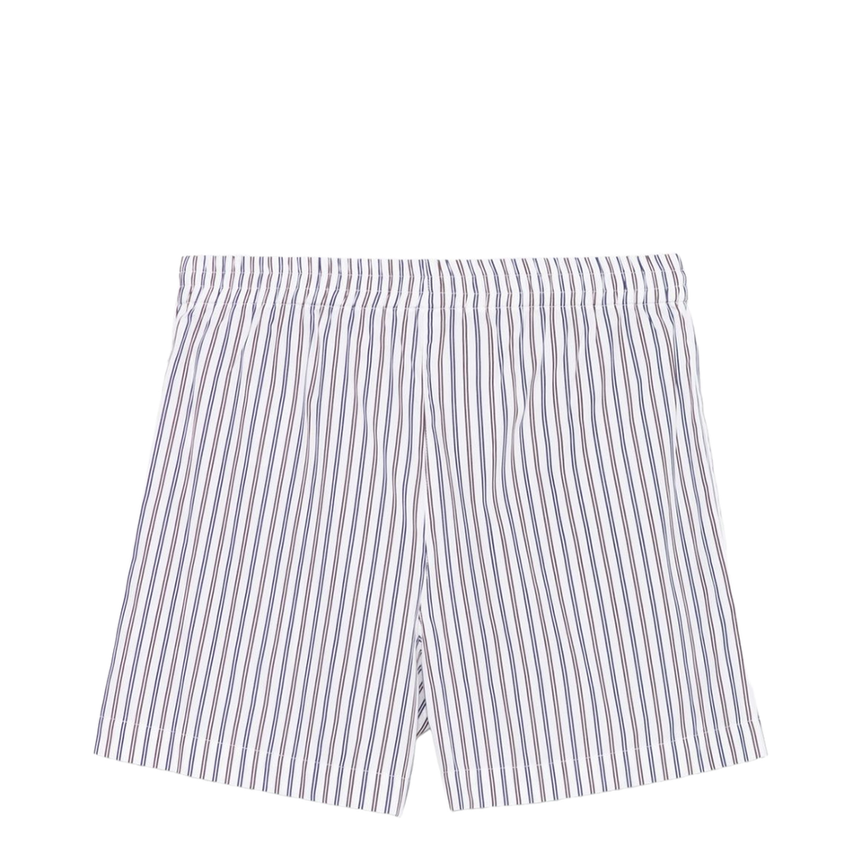 Multicolor Shorts Pant