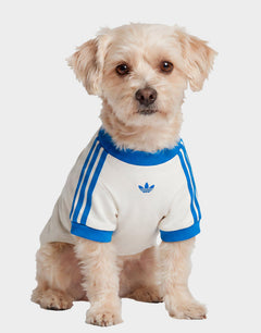 adidas Pet Cali T - Shirt