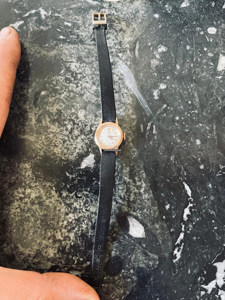 Omega Classic