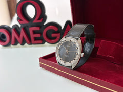 Omega Seamaster
